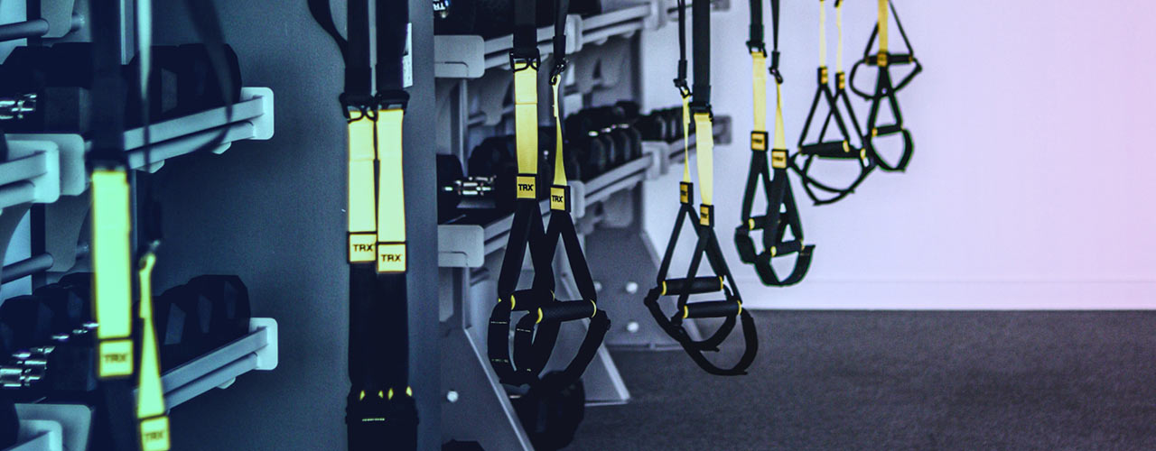 a view of a bunch of TRX suspension training straps in a studio